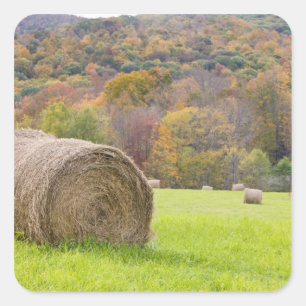 Sticker Carré Balles de foin et feuillage d'automne à la ferme,