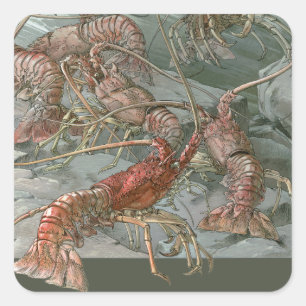 Sticker Carré Banc de homards dans l'océan, Art nouveau vintage