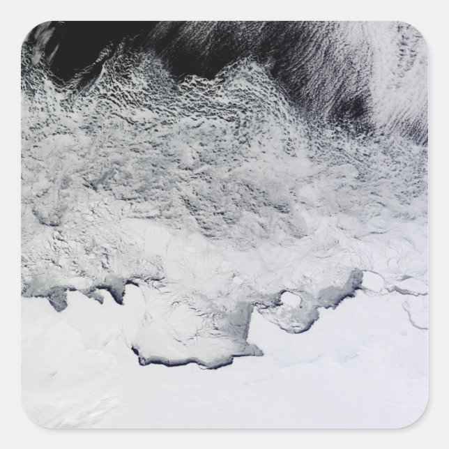 Sticker Carré Banzare, Sabrina et les côtes bouddhistes, Antarct (Devant)