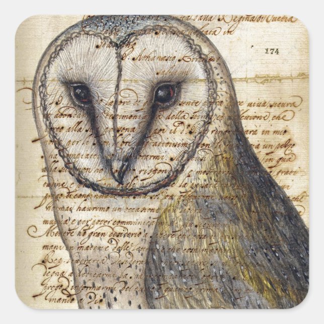 Sticker Carré Barn Owl (Devant)