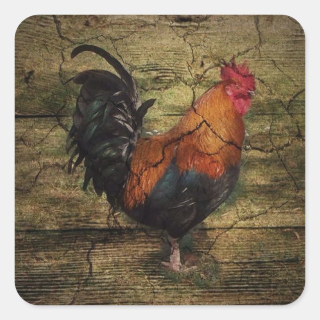 Sticker Carré Barn Wood Chicken french country rooster (Devant)