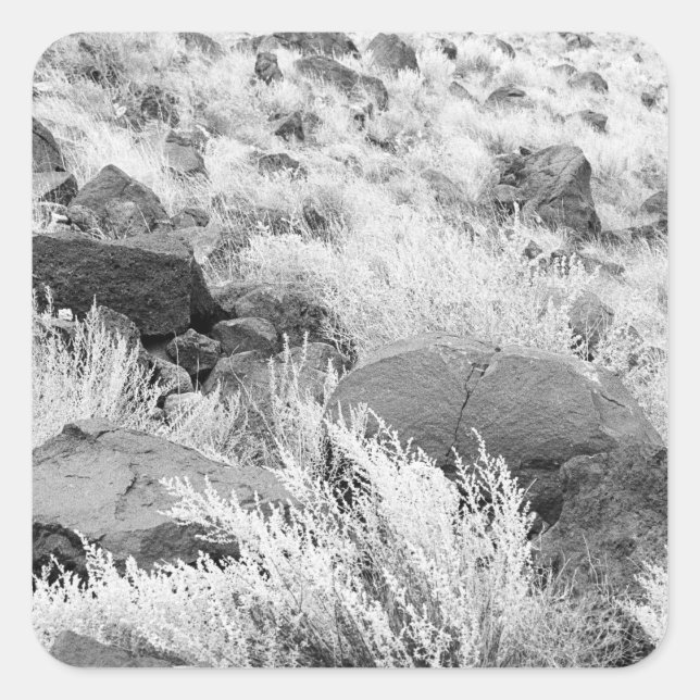 Sticker Carré Basalt Lava Rocks Sud-ouest Photo noir et blanc (Devant)