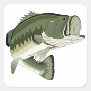 STICKER CARRÉ BASES LARGEMOUTH