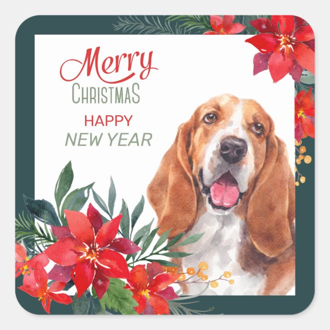 Sticker Carré Basset Hound Poinsettia frontière Noël (Devant)