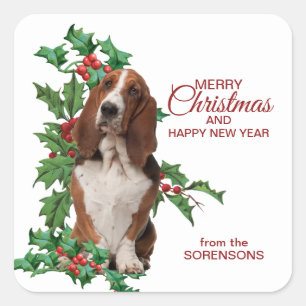 Sticker Carré Basset Hound Red Berry Holly Noël
