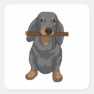 Sticker Carré Bâton Dachshund