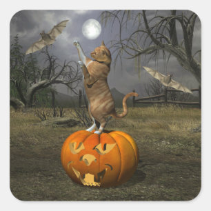 Sticker Carré Bats battables Halloween Orange Chat