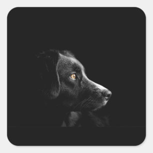 Sticker Carré bc sur noir