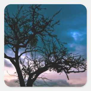 Sticker Carré Beau coucher de soleil paysage Pittoresque Art pho