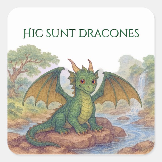 Sticker Carré Beau dragon vert (Devant)