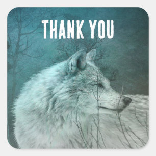 Sticker Carré Beau loup gris dans un Merci de forêt foncée
