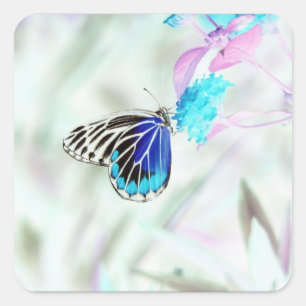 Sticker Carré Beau papillon sur la fleur - photo négative 3