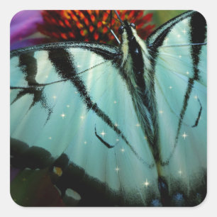 Sticker Carré Beau papillon Turquoise Swallowtail