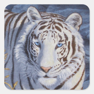 Sticker Carré Beau tigre blanc aux yeux bleu cristal