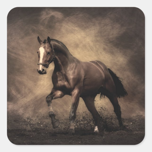 Sticker Carré Beautiful horse throw pillow (Devant)