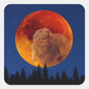 Sticker Carré Beaver Moon en novembre