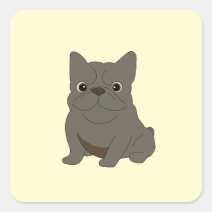 Sticker Carré Bébé Bouledogue Français Gris, Crème,