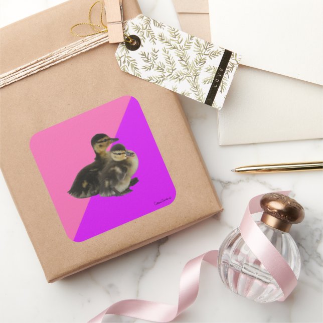 Sticker Carré Bébé Canards sur framboise rose et sorbet pourpre (Cadeaux)