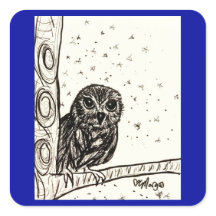 Bébé Chouette à la nuit