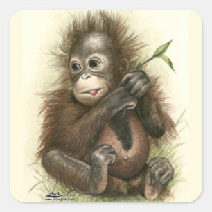 Sticker Carré Bébé d'orang-outan avec le feuille