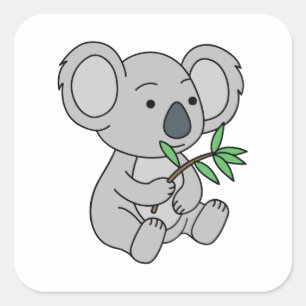 Sticker Carré Bébé mignon Koala avec Eucalyptus Feuilles
