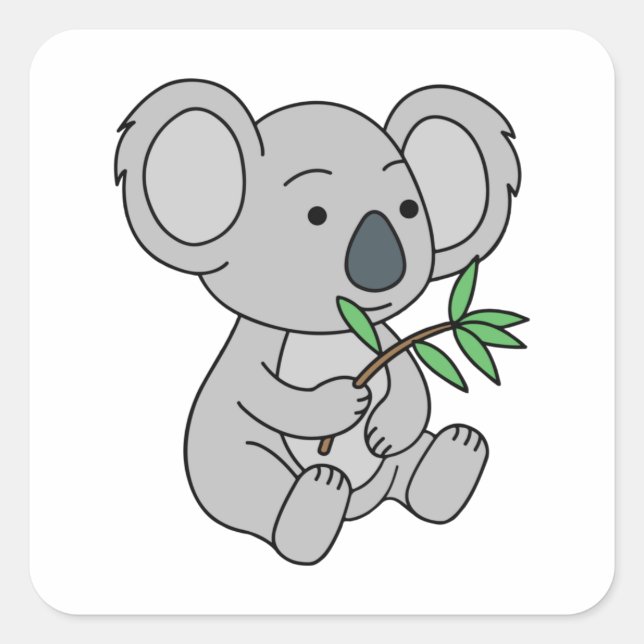 Sticker Carré Bébé mignon Koala avec Eucalyptus Feuilles (Devant)