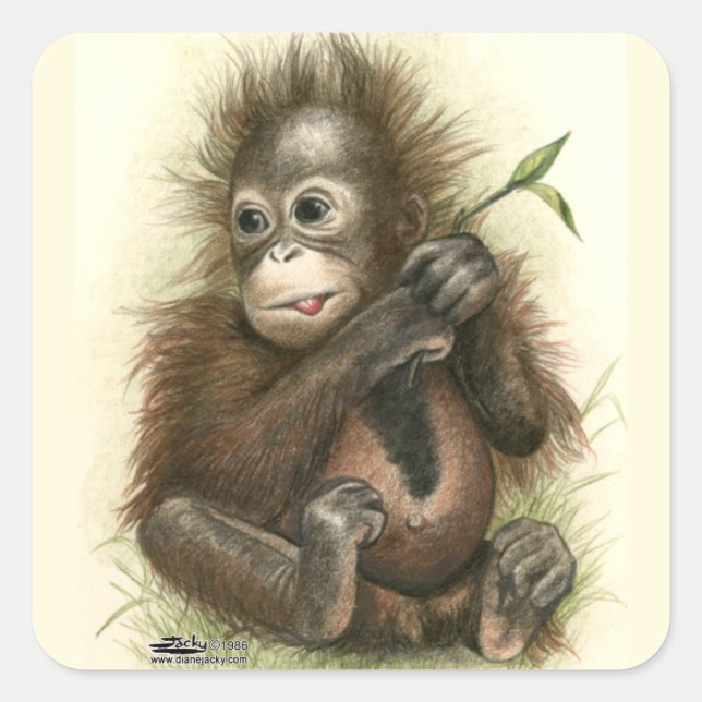 Sticker Carré Bébé orang-outan avec des feuilles (Devant)