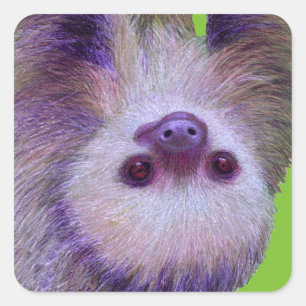 Sticker Carré Bébé Sloth