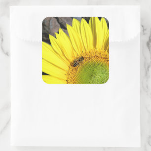 Sticker Carré Bee On Sunflower Close Up Photographie