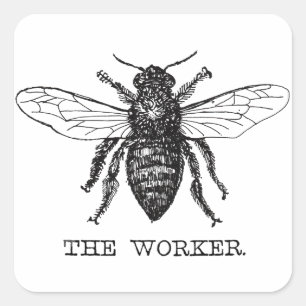 Sticker Carré Bee Worker Honey Black Bumblebee