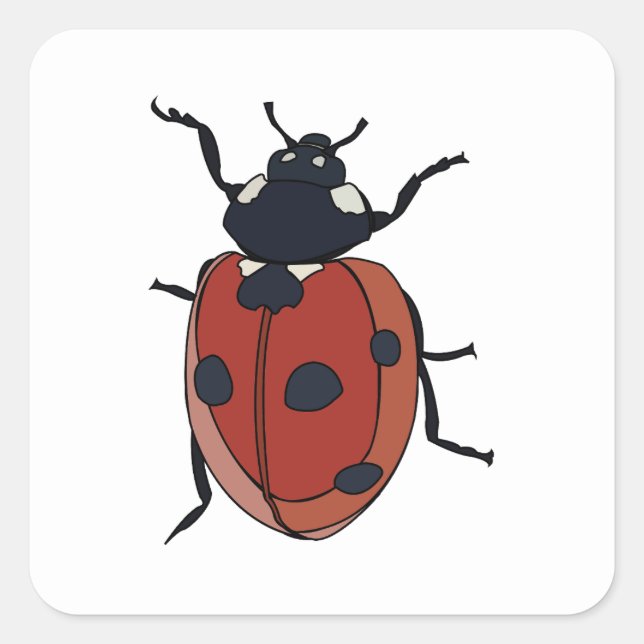 Sticker Carré Beetles Insectes Ladybug Beetles (Devant)