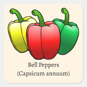 Sticker Carré Bell Peppers
