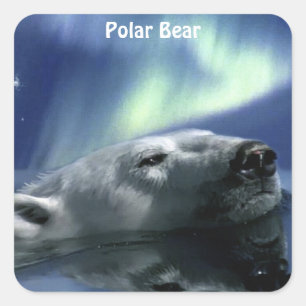 Sticker Carré Belle conception de la faune pour amoureux des ani