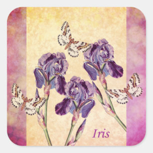 Sticker Carré Belle Fleurs d'Iris pourpres et Papillon
