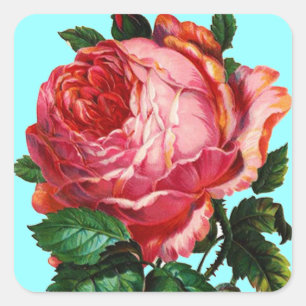 STICKER CARRÉ BELLE ROSE ROSE ROSE