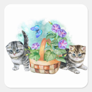 Sticker Carré Belles chatons Sweet