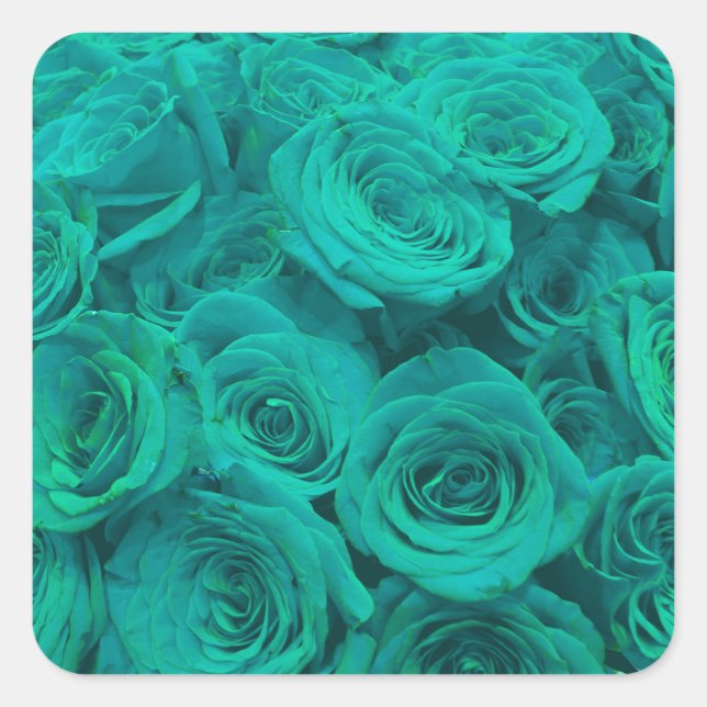 Sticker Carré Belles fleurs turquoises roses turquoises (Devant)