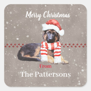 Sticker Carré Berger Allemand Fluffé Chiot Si Mignonne