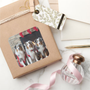 Sticker Carré Berger australien près de la cheminée Noël