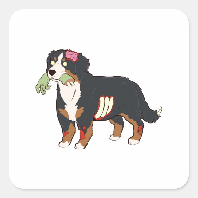 Sticker Carré Bernese Mountain Dog Zombie Halloween (Devant)