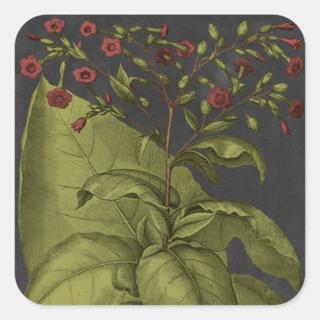 Sticker Carré Besler Dramatique I (Devant)