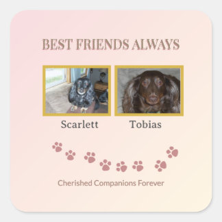 Sticker Carré Best Friends Pawprint