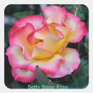Sticker Carré Betty Boop Rose
