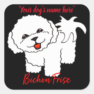 Sticker Carré Bichon Frise