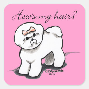 Sticker Carré Bichon Frise Habille Mes Cheveux