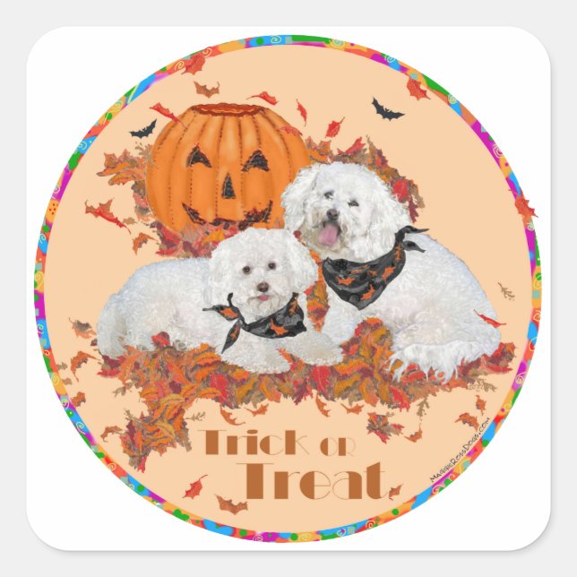 Sticker Carré Bichon Frise Halloween (Devant)