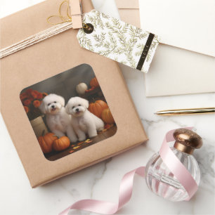 Sticker Carré Bichon Frise Puppy Automne Citrouille délice