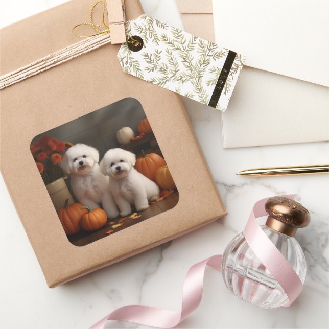 Sticker Carré Bichon Frise Puppy Automne Citrouille délice (Cadeaux)