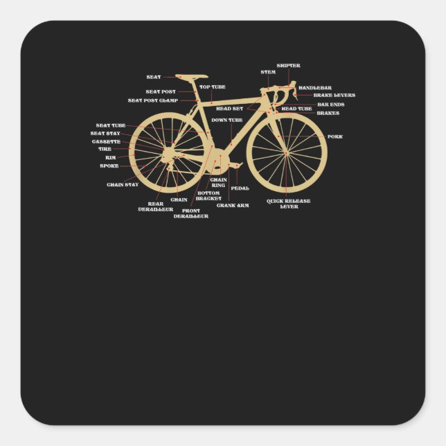 Sticker Carré Bicycle Cycling Anatomy Road (Devant)