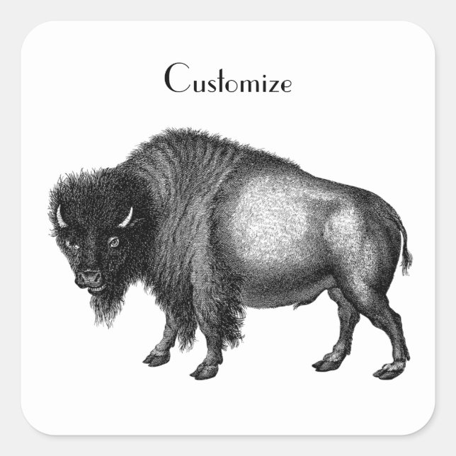Sticker Carré Big Bison Buffalo Thunder-Cove (Devant)